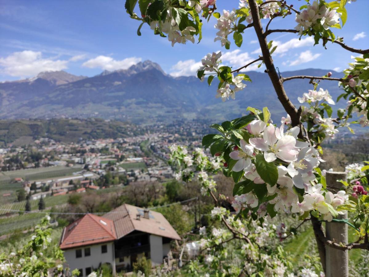 Apartment Hagen Merano Exteriér fotografie